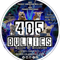 405 Bullies Kennels Logo