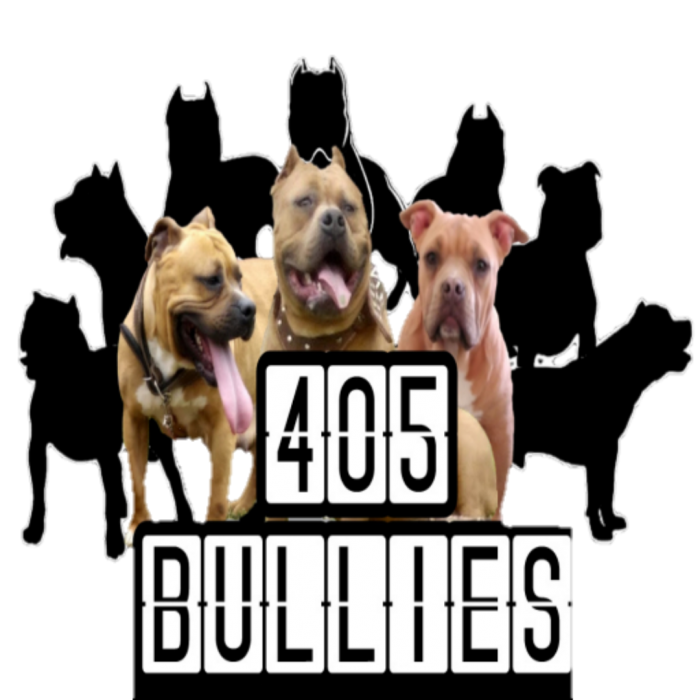 405 Bullies Kennels