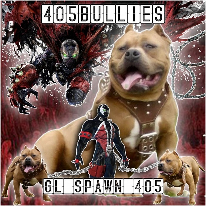 405Bullies GLine Spawn 405