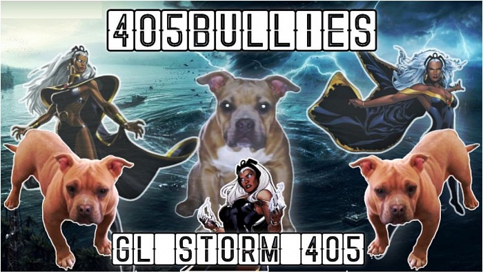 405Bullies GLine Storm 405