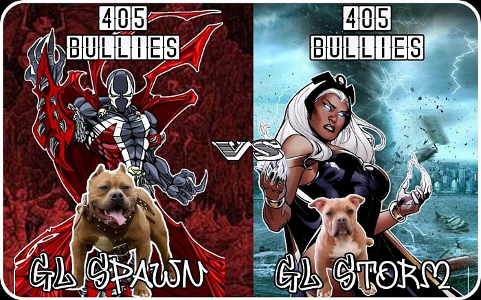 405Bullies GLine Spawn & Storm Breeding