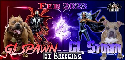 Spawn & Storm breeding 2023