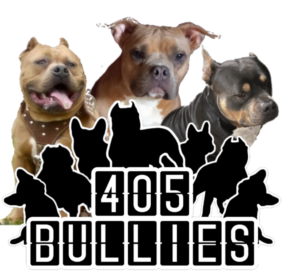 Bully Family