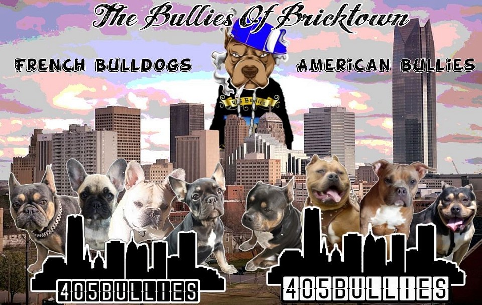 405 Bullies Kennels Logo 2024